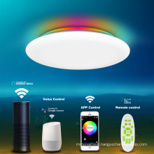 WiFi Smart Flush Mount 24W led Ceiling Light